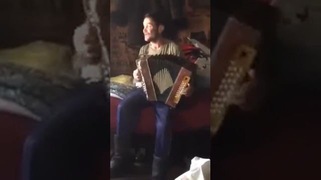 Белые розы на гармони смотреть онлайн