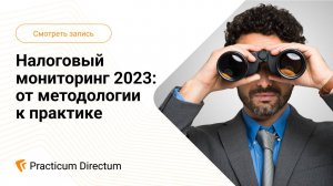 Налоговый мониторинг 2023