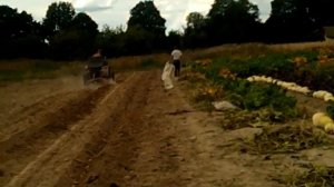 копка картофеля плугом самодельным трактором