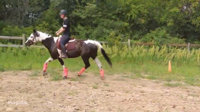 Petunia Summer 2021 смотреть онлайн