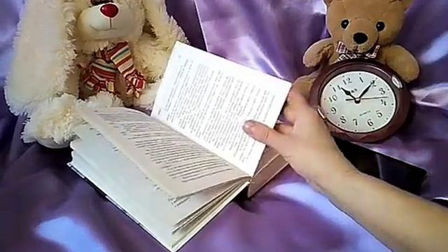 Реклама одной книги. Ида Мартин Дети Шини.mp4