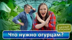 Как ПОНЯТЬ ЧТО НУЖНО огурцам