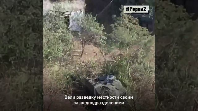 Герои Z. Никита Губанов