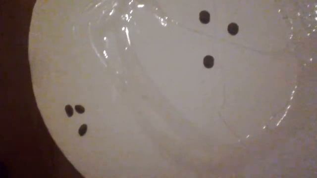 Лучший в мире способ ловли мышей!Равных ему нет! смотреть онлайн