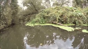 Сплав на каноэ по р Скнига