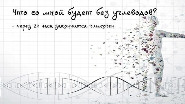 1.  Всё про углеводы за 5 минут