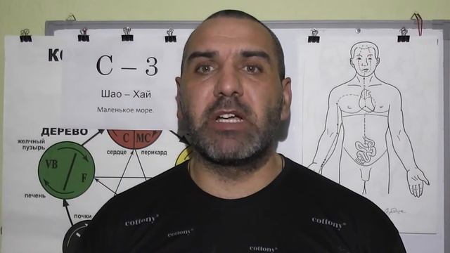 Запястье и точка Шао-Хай.