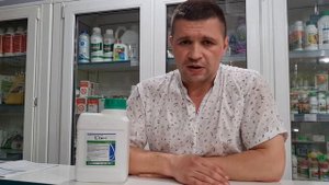 Свитч. 7 дней до уборки винограда