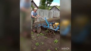 Окучивания картофеля самодельным дисковым окучником