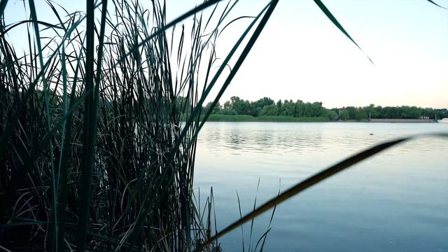 Станица Старочеркасская летом.