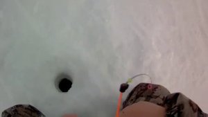 Рыбалка на озере Сартлан!!!Отличный клев!!!