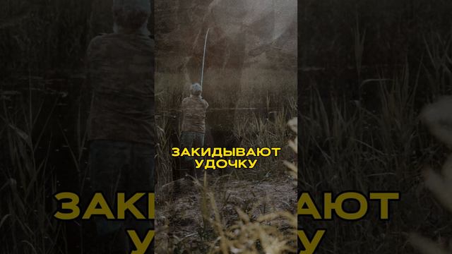 ВАЖНА ЛИ СКОРОСТЬ МАРКЕТМЕЙКЕРАМ?👆