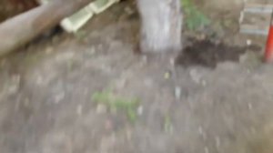 Зеркало-видеорегистратор в Лада Гранта.