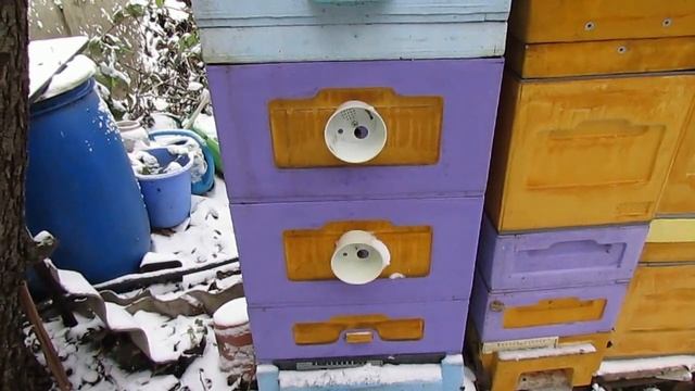 ответы на вопросы - сколько раз я обрабатываю пчел от клеща Варроа и акарапидозного, шнурами ТЭДА смотреть онлайн