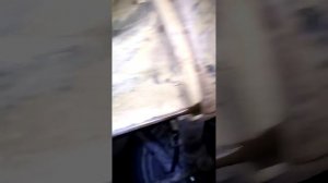Скрип задней крестовины карданного вала нива 2131...