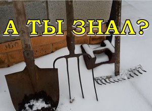 "Прощаемся" с дачным сезоном: ОБ ЭТОМ важно НЕ ЗАБЫТЬ☝☝☝