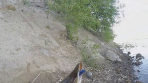 ОБЗОР И ТЕСТ КАТУШКИ  "KASTKING SHARKY 3"  НА РЫБАЛКЕ.