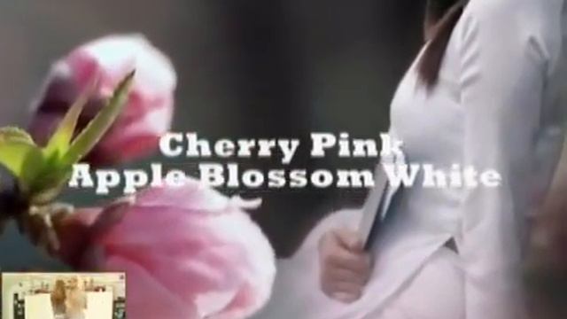 Echeveria, Jose Andry T. Cherry Pink Apple Blossom White Cha Cha Cha.mp4 смотреть онлайн