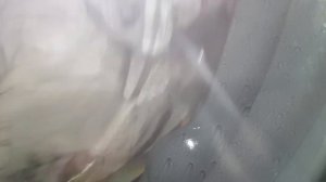 Стиралка LG AIDD F2T9GW9P - работа Turbowash360 в процессе стирки