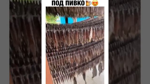 вот он рай для мужика??