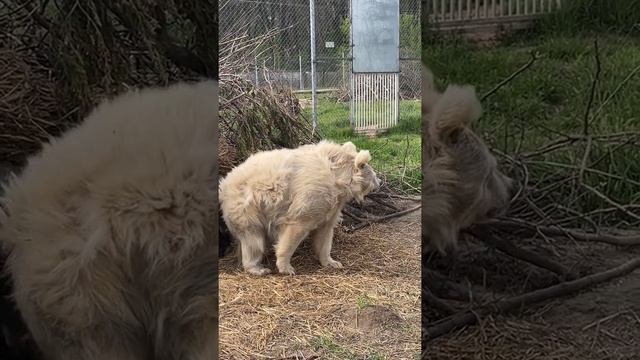 Утро после майских