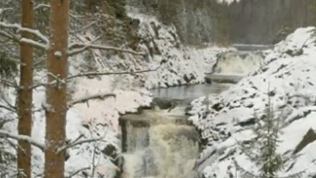 Люблю тебя, Карелия! смотреть онлайн