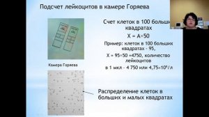 Лекция 21.09.21 5к ЛФ Особенности изм-я картины крови у амб. и стац. пац-та. доц.каф. Сясина Т.В.