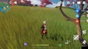 СЕКРЕТНЫЙ ОБЫЧНЫЙ СУНДУК С МЕЧАМИ/ОСТРОВ ЯСИОРИ/ДЕРЕВНЯ ХИГИ/ИНАДЗУМА ГЕНШИН ИМПАКТ