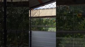 Летняя бисетка холодная ковка