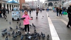 Венеция, площадь Сан Марко (Piazza San Marco) - Голуби