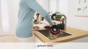 Blender VitaPower Serie 4 Bosch MMB6382M - Program de curatare| Flanco