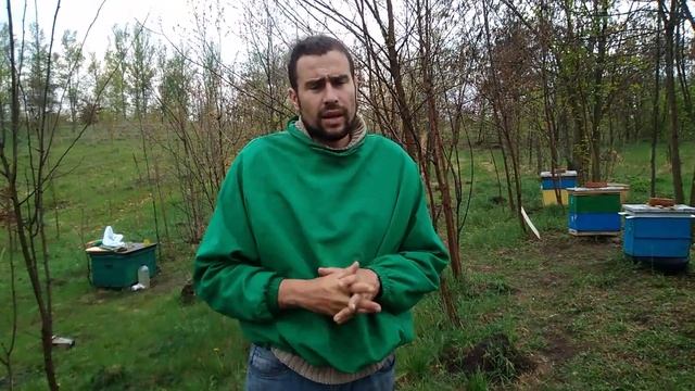 Вода на пасеке. Поилка для пчел. Как приучить пчел к поилке смотреть онлайн