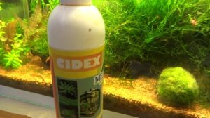 Сайдекс (cidex) в аквариуме  Польза или вред?