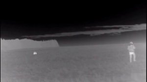 Охота на кабана с подхода. Трехногий кабан Hunting with thermal imager on the boar with the approac