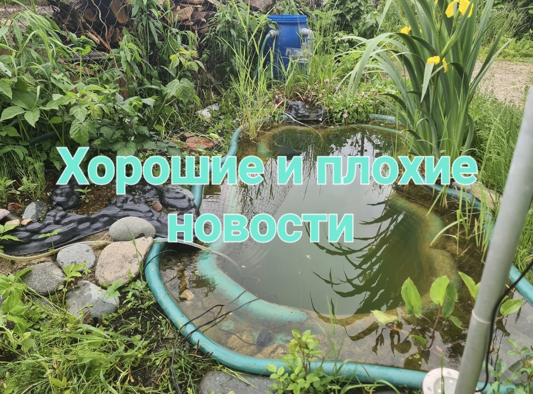 Хорошие и плохие новости смотреть онлайн