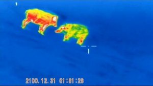 Тепловизионный прицел Fortuna ONE 3M(thermal sight Fortuna ONE 3M)