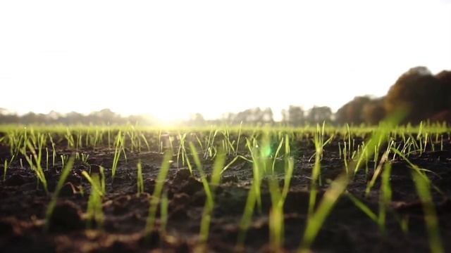 Муж не обязан воспитывать своего ребёнка от бывшей жены. Аудио рассказы смотреть онлайн