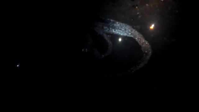 Фантом радужного ветра ( аэромистерия) смотреть онлайн