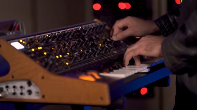 TOPS | Colder & Closer | Moog Sound Lab смотреть онлайн