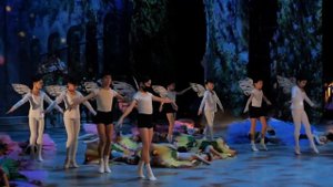 «Роман бутона розы и мотылька»