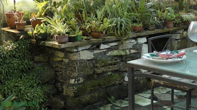 Личная теплица (зимний сад) и мн.др. смотреть онлайн