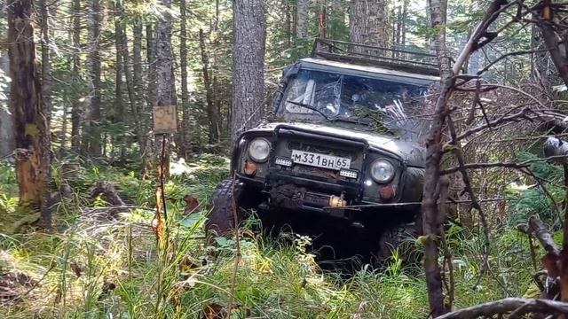 Шишки 2023 туризм лайт смотреть онлайн