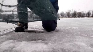проверка раколовок (зонты) на Волге в затоне в конце марта