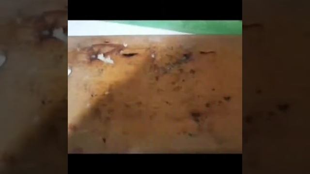 Отбивные по-французски в духовке с помидорами и сыром