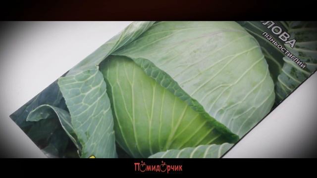 Семена Капуста Каменная голова - Помидорчик смотреть онлайн