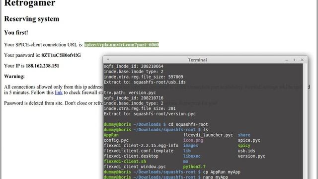 Connecting isolated QEMU VM to client-side Internet with FlexVDI & Squid Proxy + Mining смотреть онлайн