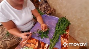 Как собирать и сушить мяту и мелиссу