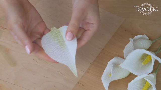 Paper callas / Каллы из бумаги / DIY Tsvoric смотреть онлайн