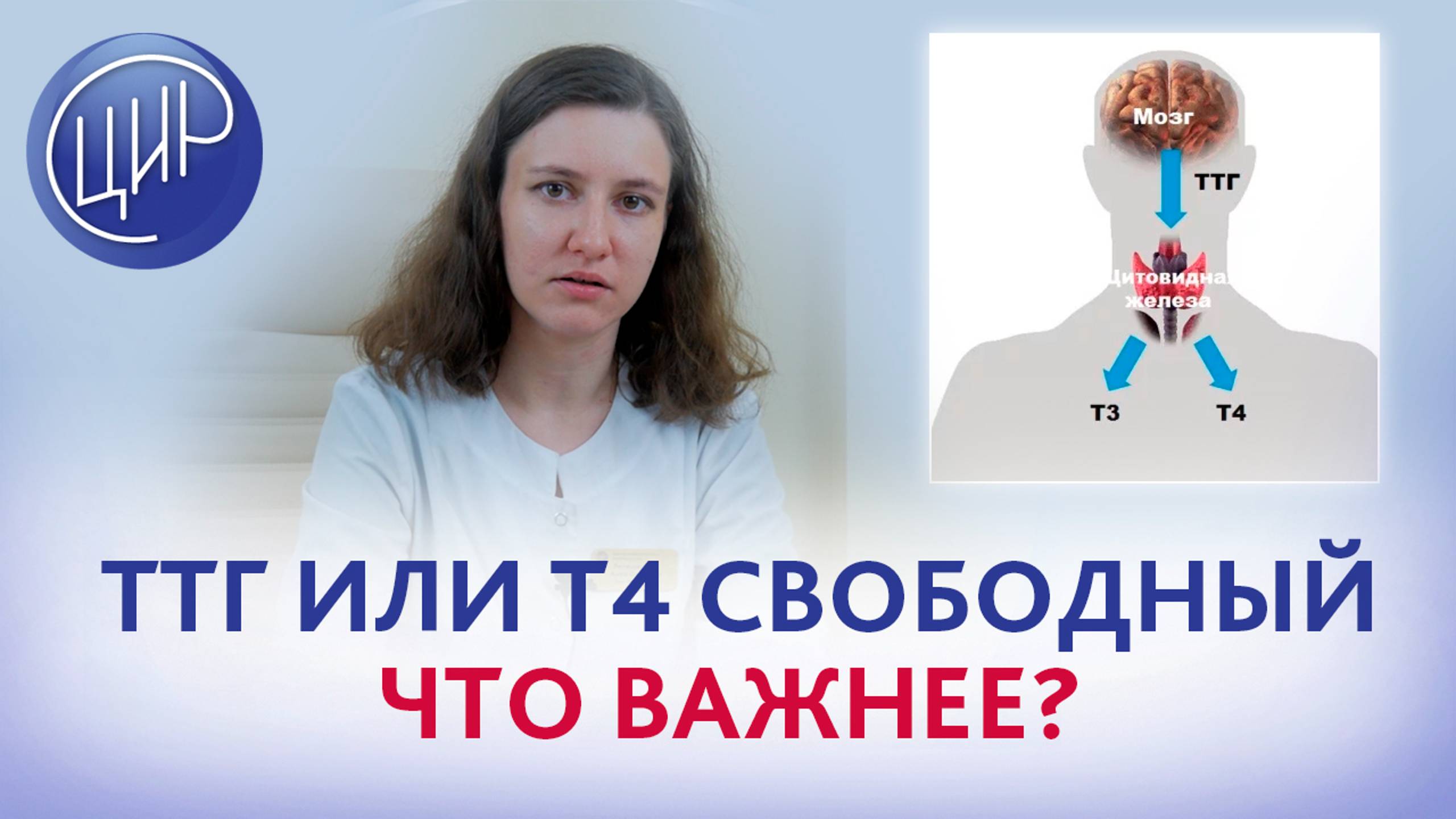 ТТГ и Т4 свободный при заболеваниях щитовидной железы. Лепешинская А.О.