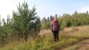 Королева сентября  - Исполнитель Андрей Бандера